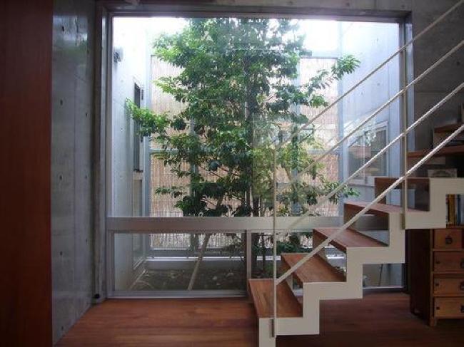 北面に設けた坪庭には 常緑樹のソヨゴを植 Housenote